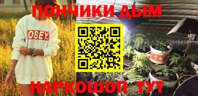 МДПВ Новозыбков