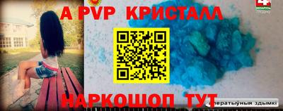МДПВ Новозыбков