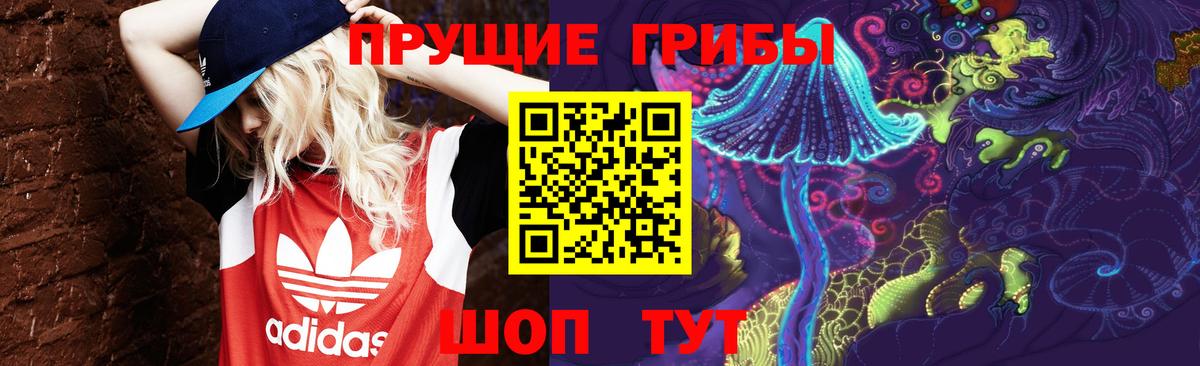 Рассказово  купить закладку  Вход с VPN  Псилоцибиновые грибы мицелий  Псилоцибиновые грибы мицелий 